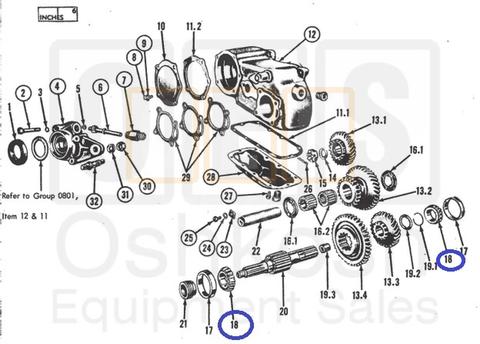 Transfer Case Output Shaft Bearing