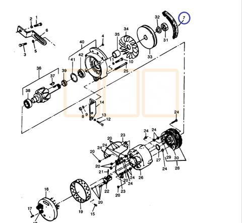 Alternator Belt